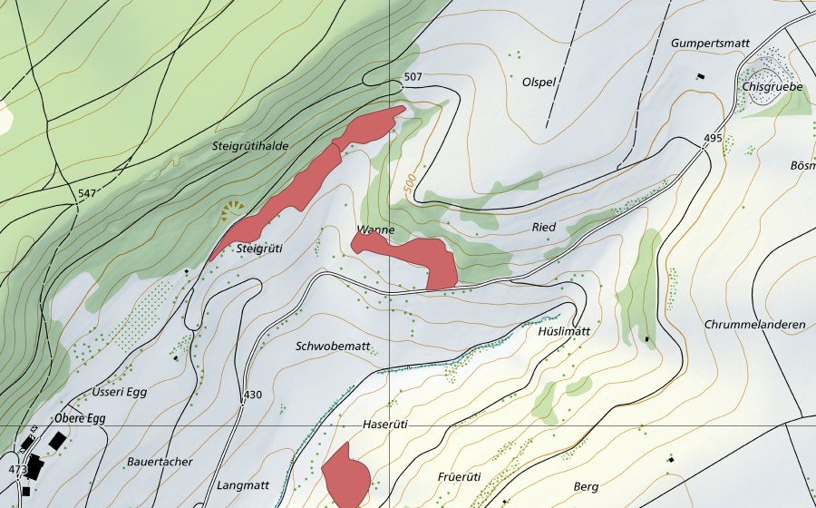 swisstopo national map showing the protected perimeter of Steigrüti (Dry meadow)