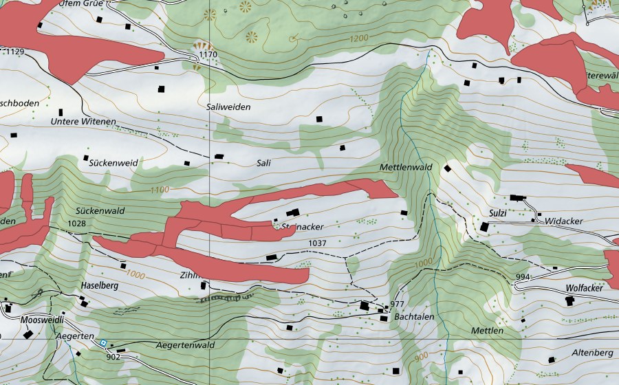 Carte nationale swisstopo avec le périmètre protégé de Steinacher (Prairie sèche)