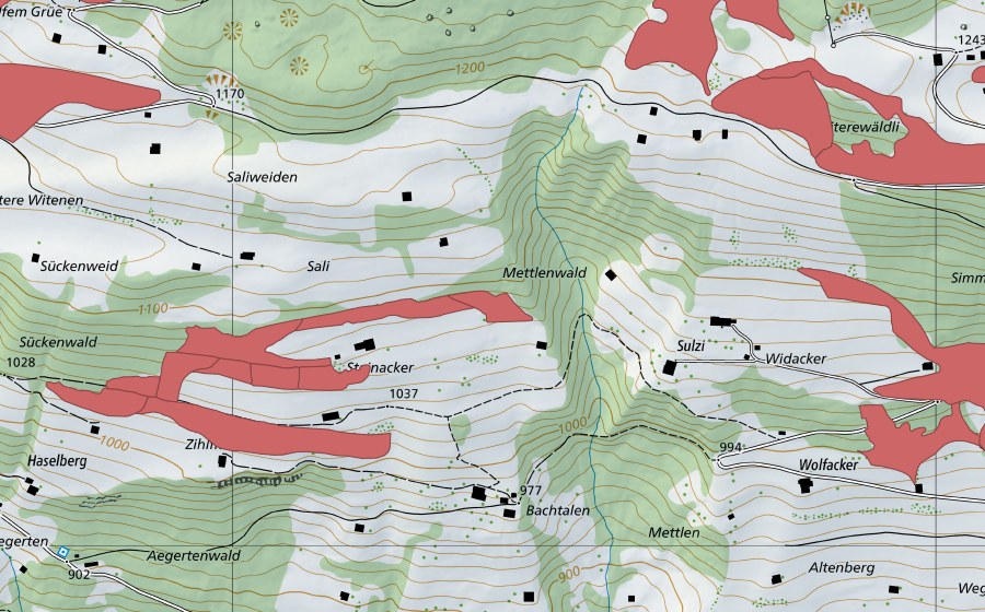 swisstopo national map showing the protected perimeter of Steinacher (Dry meadow)
