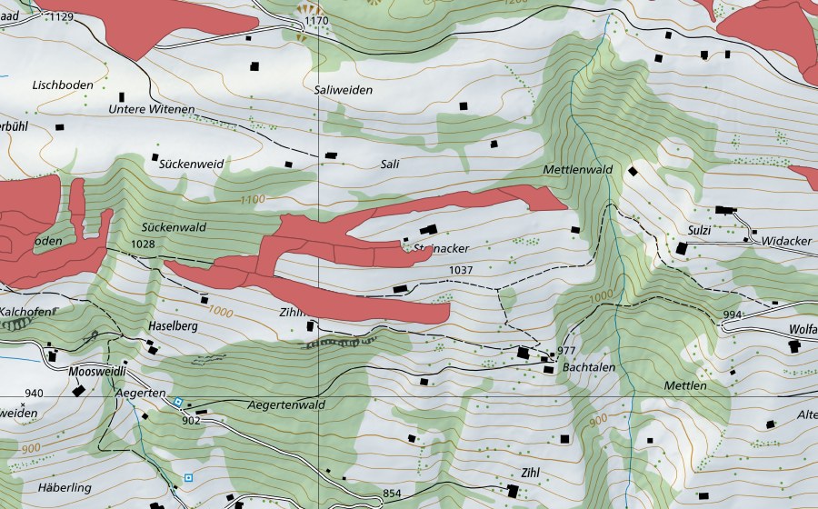 Landeskarte swisstopo mit dem Schutzperimeter von Steinacher (Trockenwiese)
