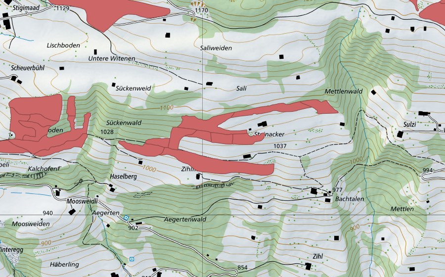 Carte nationale swisstopo avec le périmètre protégé de Steinacher (Prairie sèche)