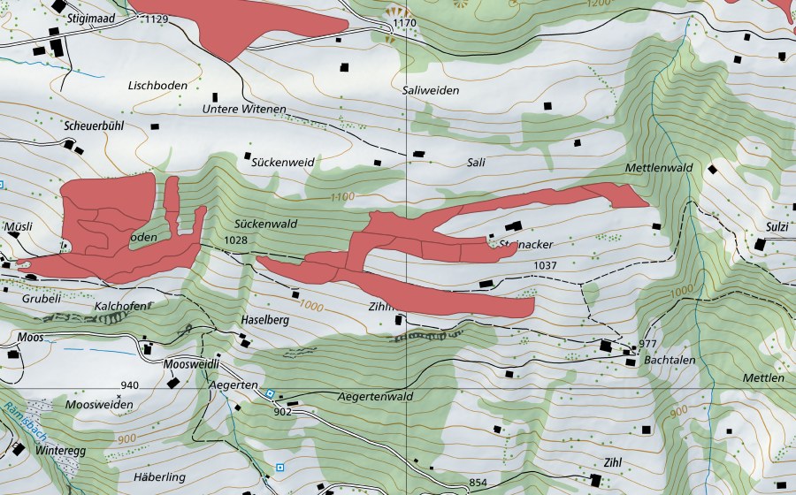 Carte nationale swisstopo avec le périmètre protégé de Steinacher (Prairie sèche)