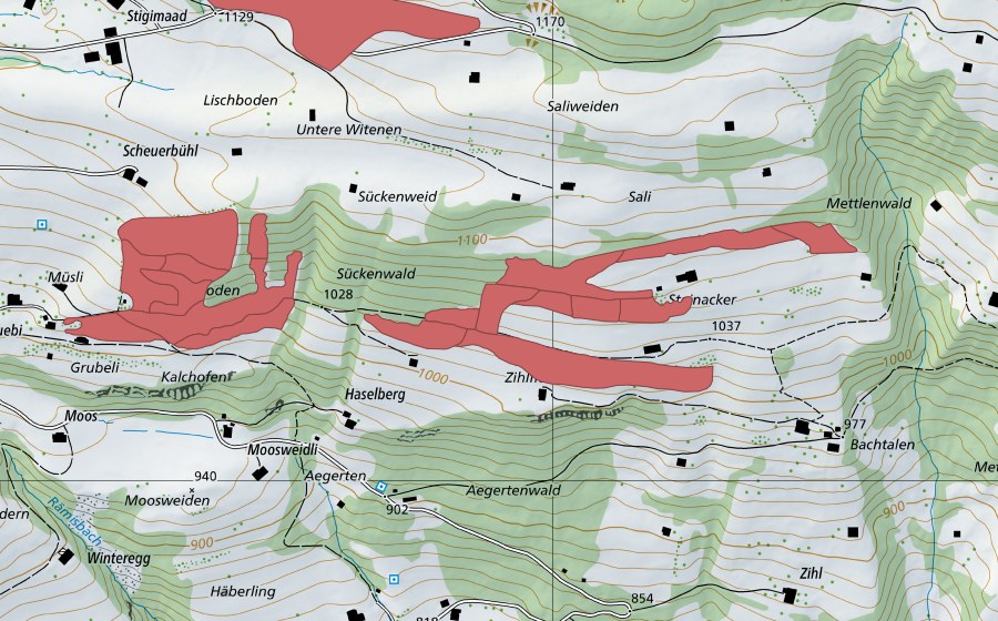 swisstopo national map showing the protected perimeter of Steinacher (Dry meadow)