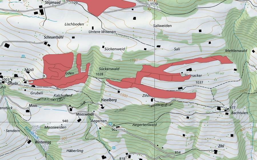 Carte nationale swisstopo avec le périmètre protégé de Steinacher (Prairie sèche)