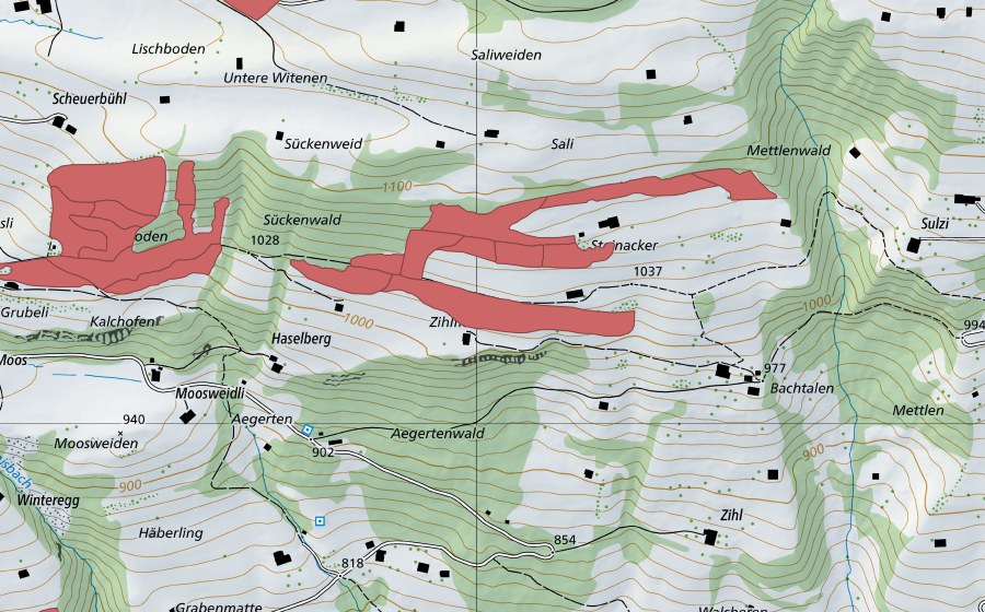 swisstopo national map showing the protected perimeter of Steinacher (Dry meadow)