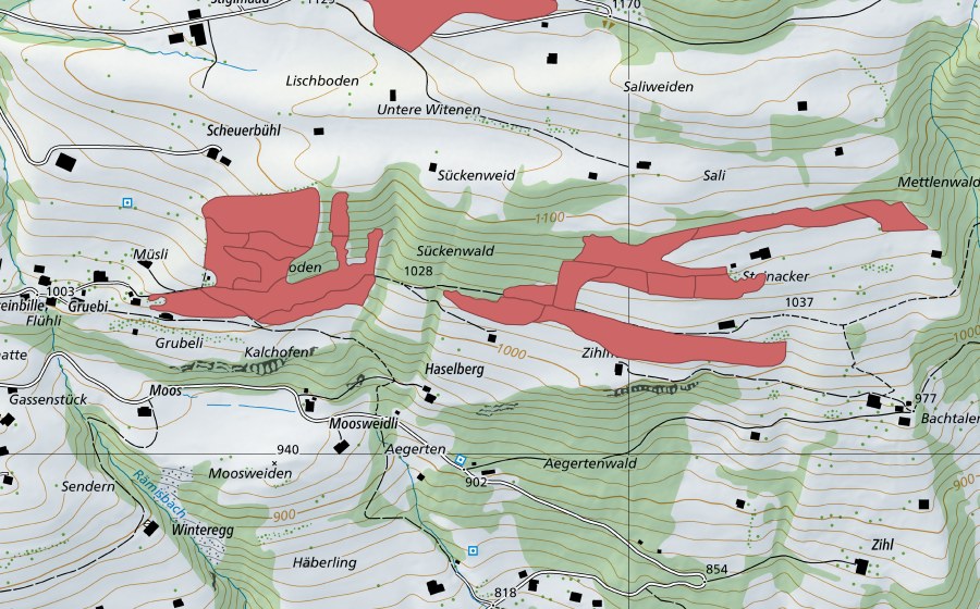 Carte nationale swisstopo avec le périmètre protégé de Steinacher (Prairie sèche)