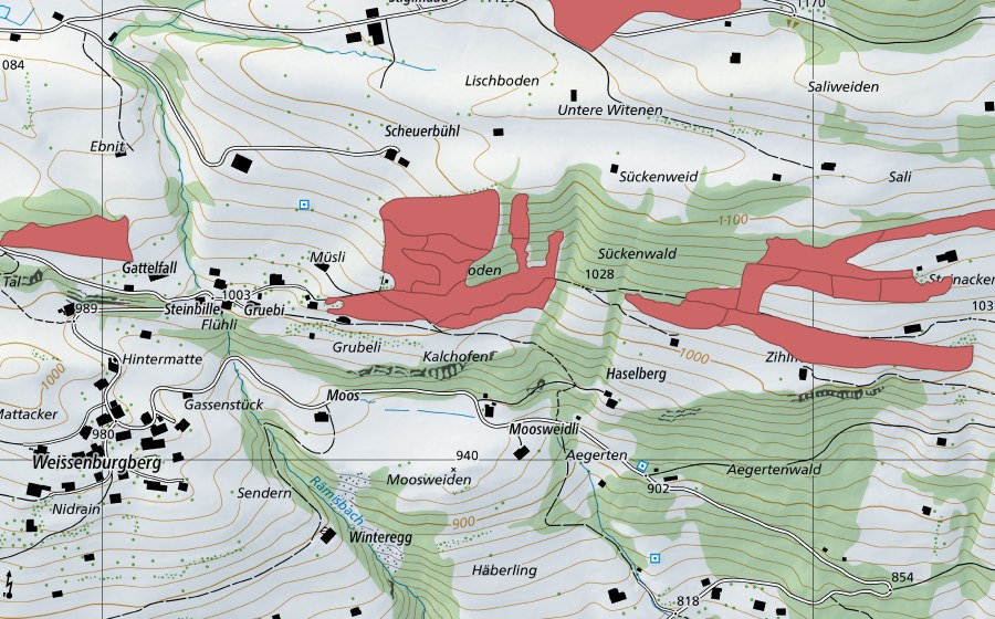 Carte nationale swisstopo avec le périmètre protégé de Steinacher (Prairie sèche)