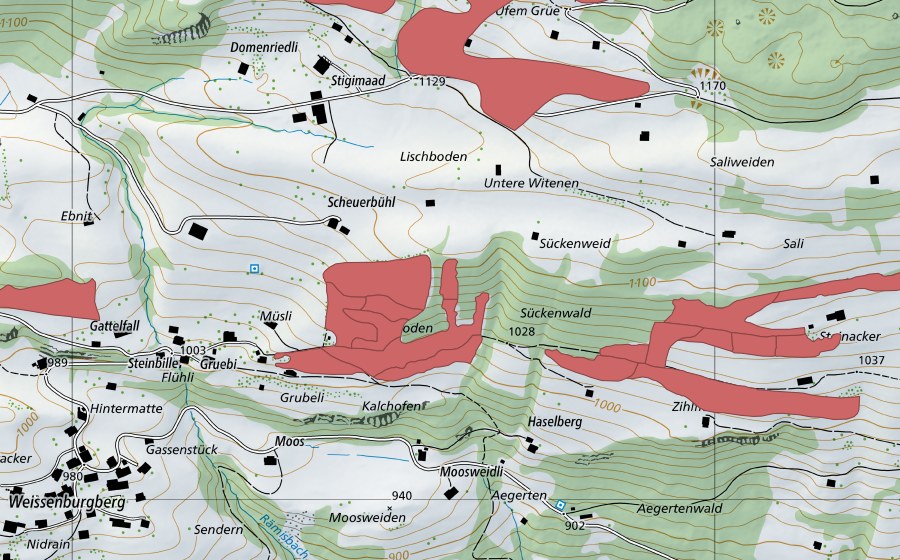 Carte nationale swisstopo avec le périmètre protégé de Steinacher (Prairie sèche)