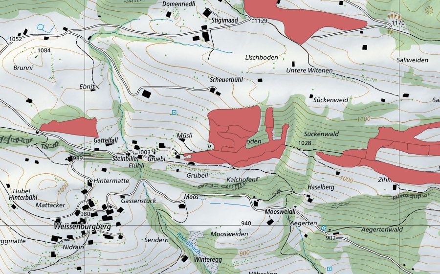 Carte nationale swisstopo avec le périmètre protégé de Steinacher (Prairie sèche)