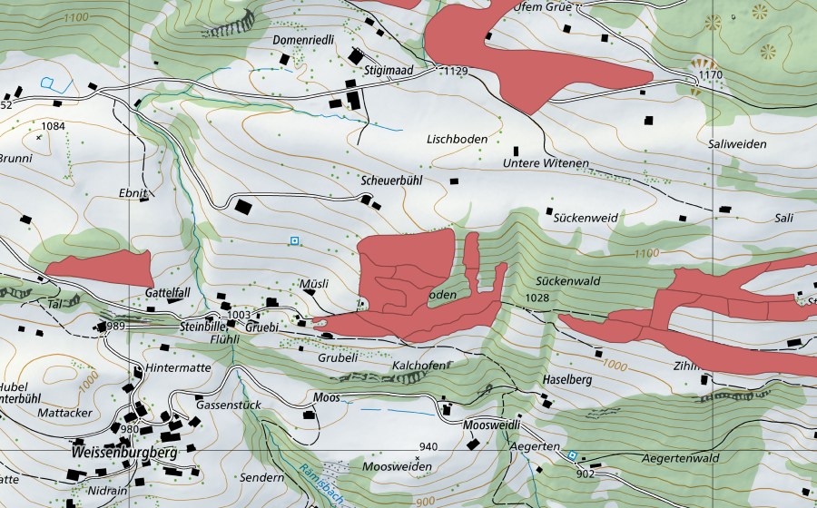 Landeskarte swisstopo mit dem Schutzperimeter von Steinacher (Trockenwiese)