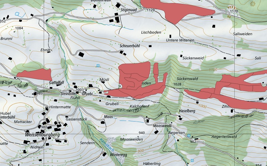 Landeskarte swisstopo mit dem Schutzperimeter von Steinacher (Trockenwiese)
