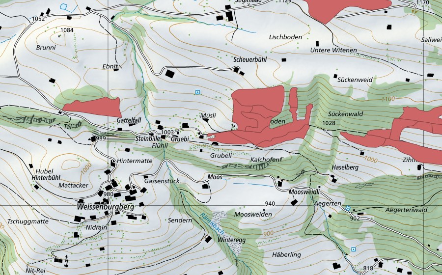 Landeskarte swisstopo mit dem Schutzperimeter von Steinacher (Trockenwiese)