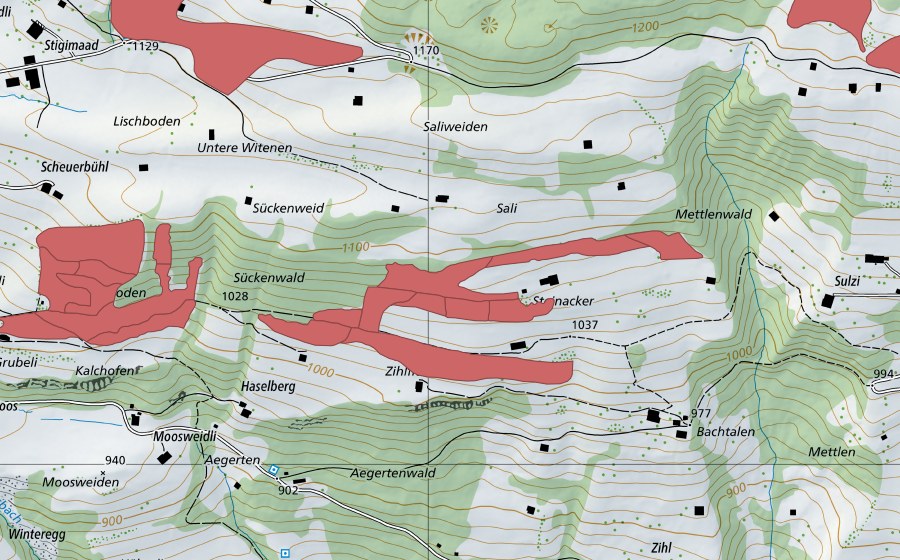 Carte nationale swisstopo avec le périmètre protégé de Steinacher (Prairie sèche)