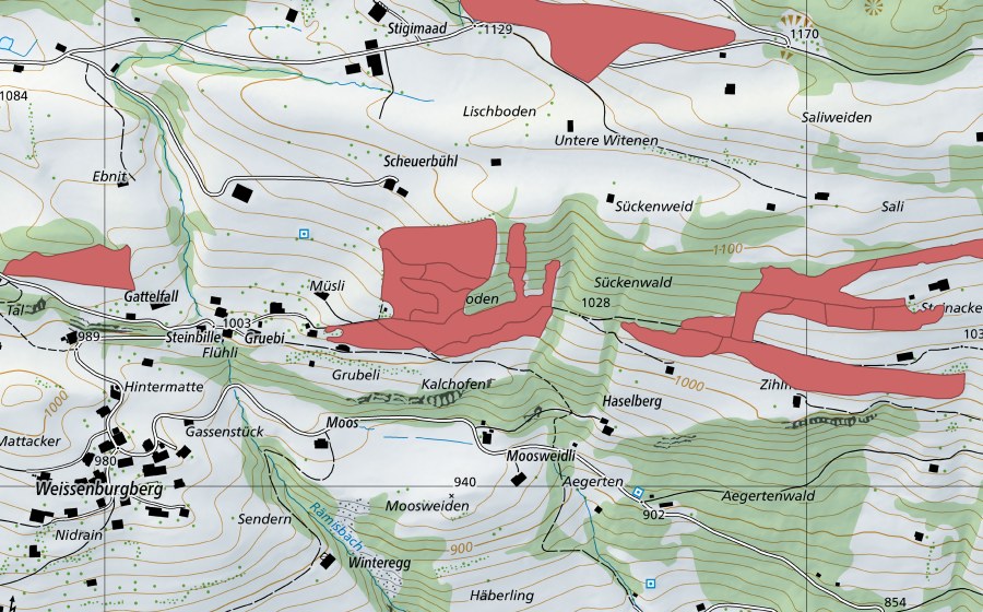 Carte nationale swisstopo avec le périmètre protégé de Steinacher (Prairie sèche)
