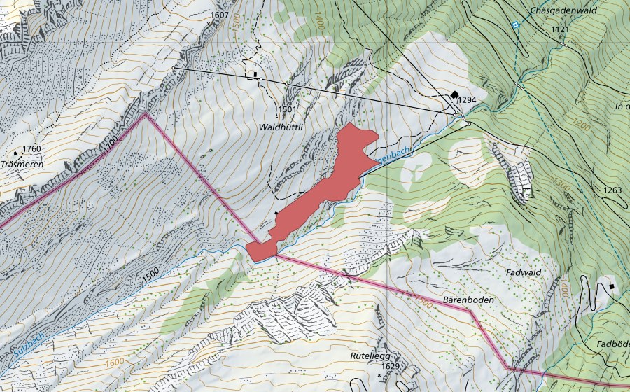 swisstopo national map showing the protected perimeter of Steinhüttli (Dry meadow)