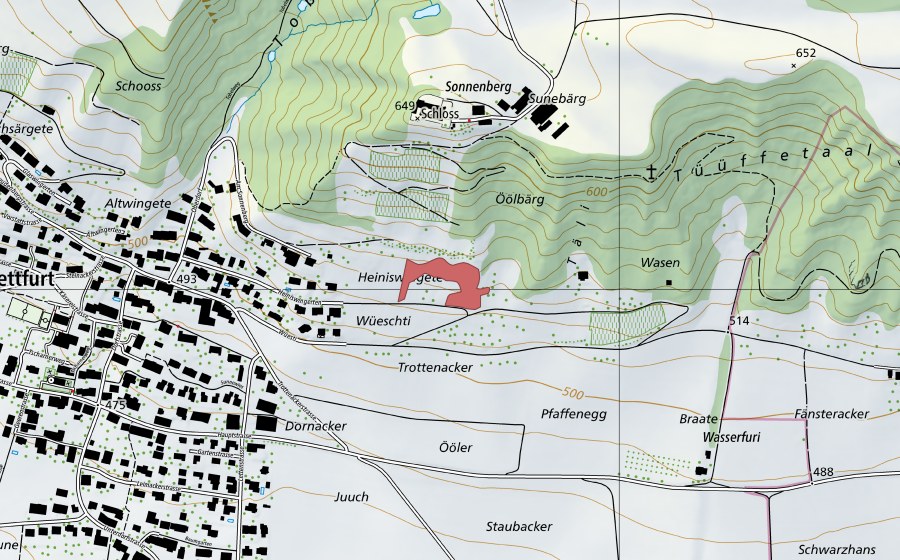 swisstopo national map showing the protected perimeter of Stettfurt (Dry meadow)