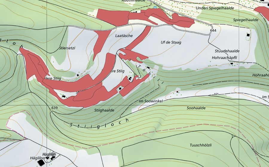Landeskarte swisstopo mit dem Schutzperimeter von Stig (Trockenwiese)