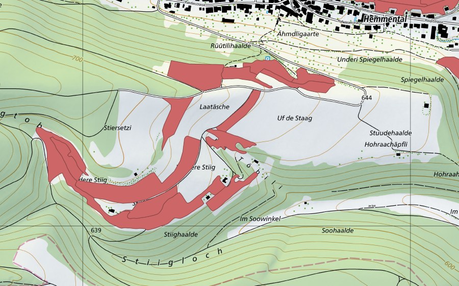 Landeskarte swisstopo mit dem Schutzperimeter von Stig (Trockenwiese)