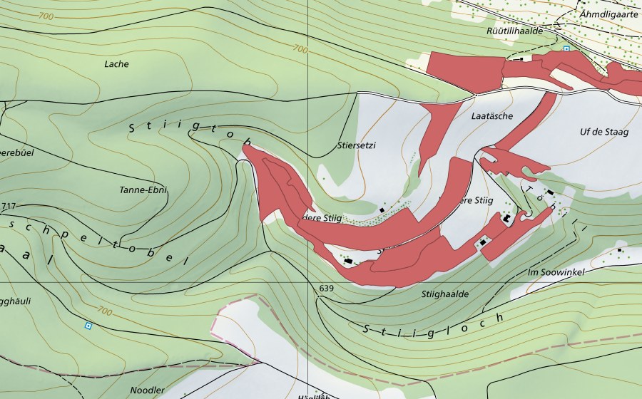 Landeskarte swisstopo mit dem Schutzperimeter von Stig (Trockenwiese)