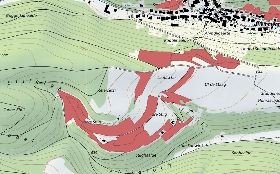 Landeskarte swisstopo mit dem Schutzperimeter von Stig (Trockenwiese)