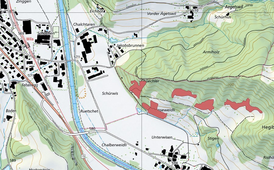 Carte nationale swisstopo avec le périmètre protégé de Stigenweid (Prairie sèche)
