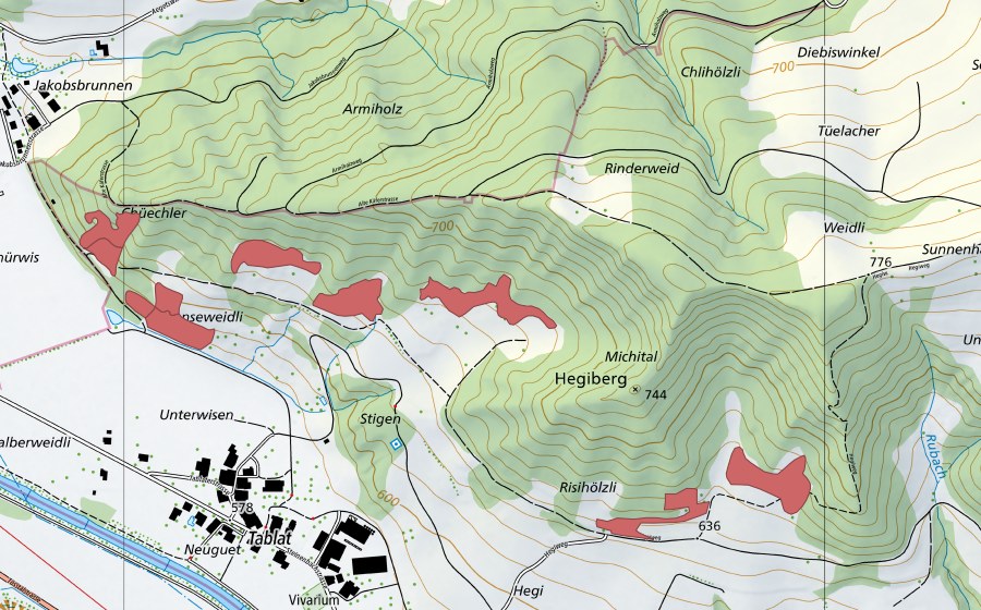 swisstopo national map showing the protected perimeter of Stigenweid (Dry meadow)