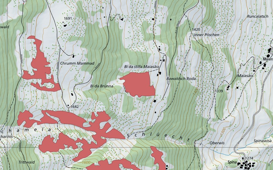 Landeskarte swisstopo mit dem Schutzperimeter von Stillen Maiensäss (Trockenwiese)