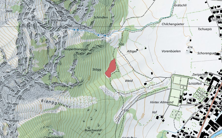 swisstopo national map showing the protected perimeter of Stock (Dry meadow)