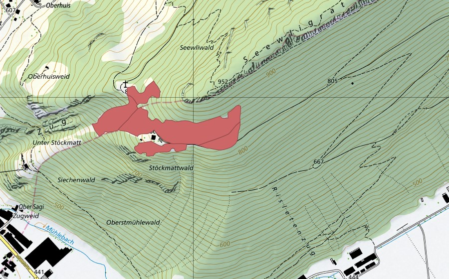 swisstopo national map showing the protected perimeter of Stöckmatt (Dry meadow)