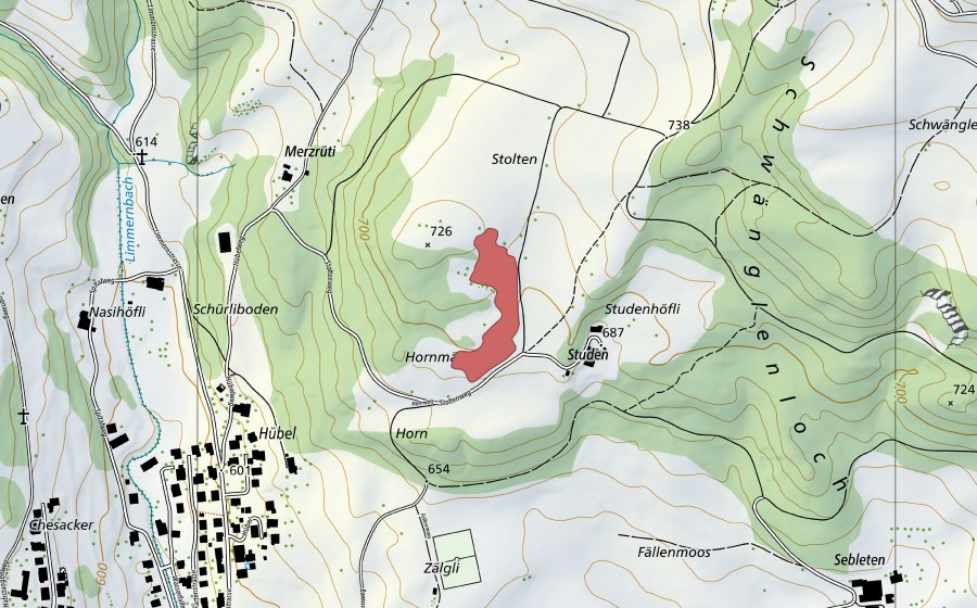 swisstopo national map showing the protected perimeter of Stolten (Dry meadow)