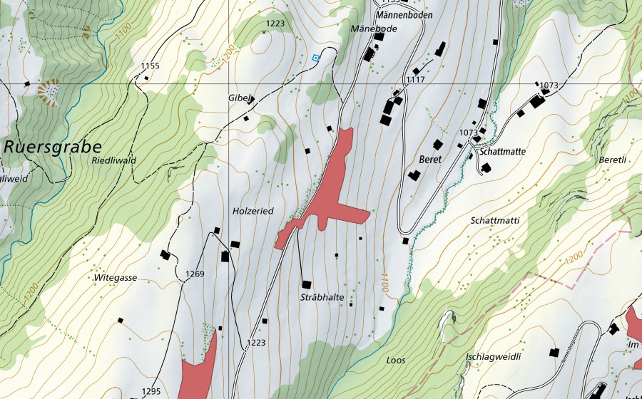 swisstopo national map showing the protected perimeter of Sträbhalte (Dry meadow)