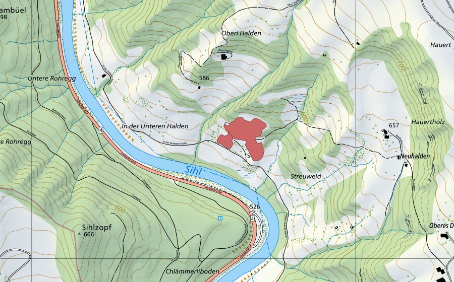 swisstopo national map showing the protected perimeter of Streuweid (Dry meadow)