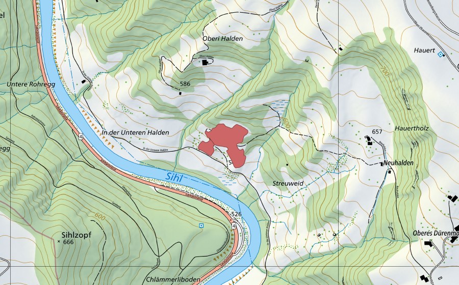 Landeskarte swisstopo mit dem Schutzperimeter von Streuweid (Trockenwiese)