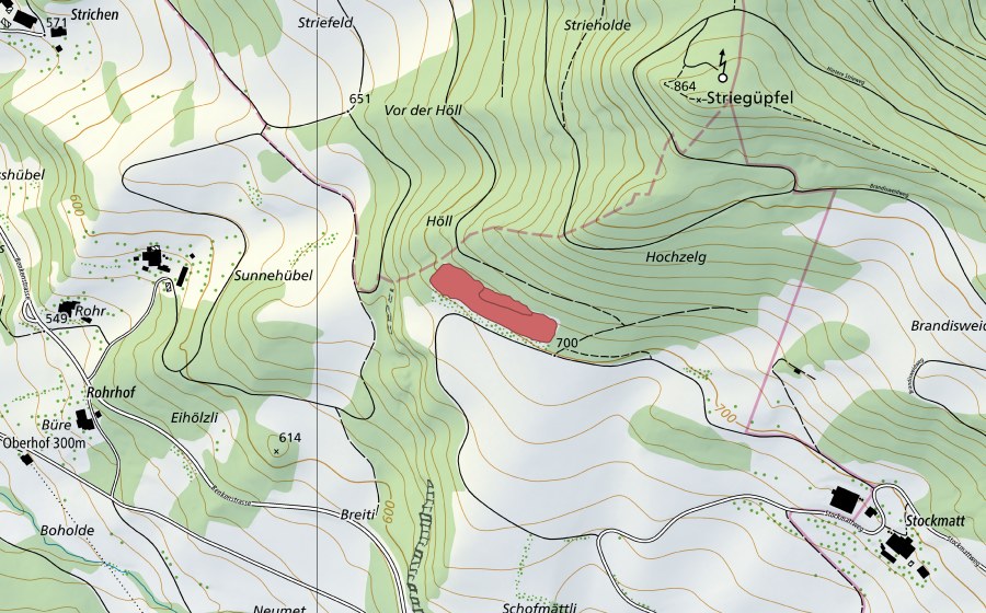 Landeskarte swisstopo mit dem Schutzperimeter von Strihe (Trockenwiese)