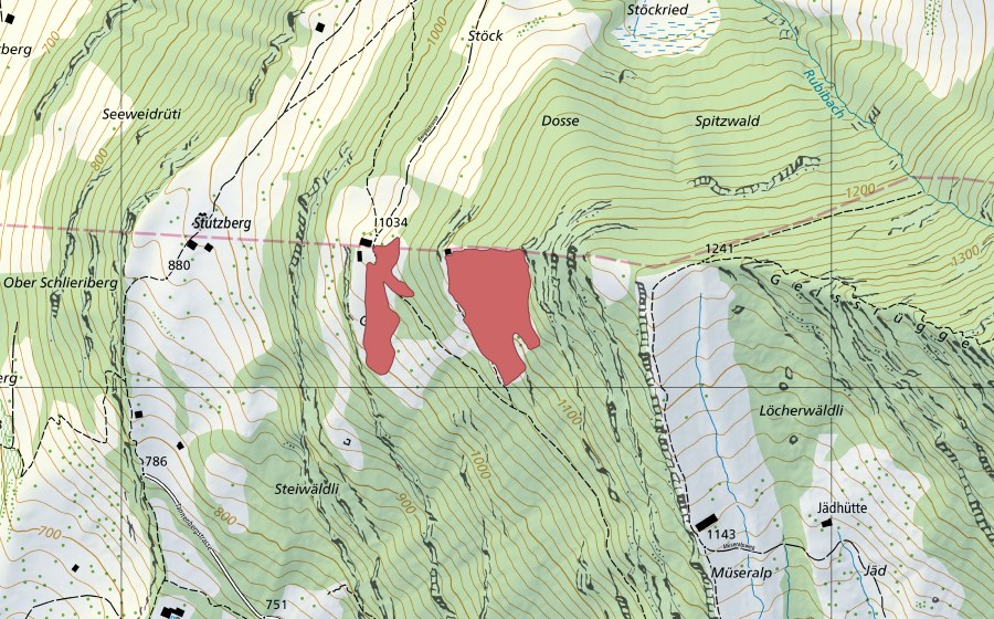 swisstopo national map showing the protected perimeter of Stuck (Dry meadow)