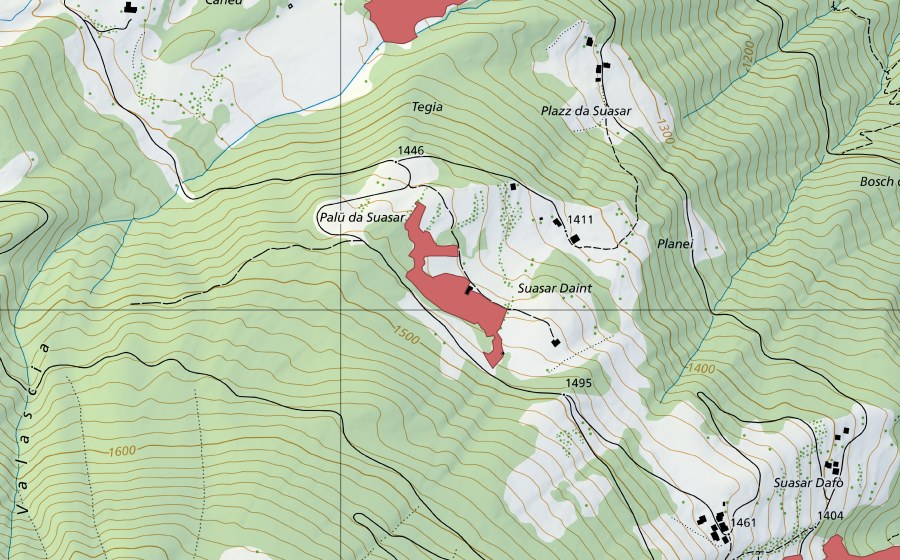 Landeskarte swisstopo mit dem Schutzperimeter von Suasar Daint (Trockenwiese)