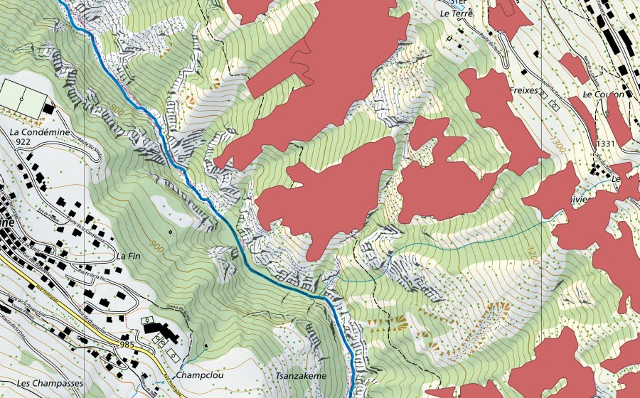 swisstopo national map showing the protected perimeter of Suen-Trogne (Dry meadow)