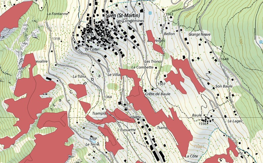 swisstopo national map showing the protected perimeter of Suen-Trogne (Dry meadow)