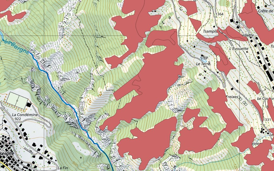 swisstopo national map showing the protected perimeter of Suen-Trogne (Dry meadow)