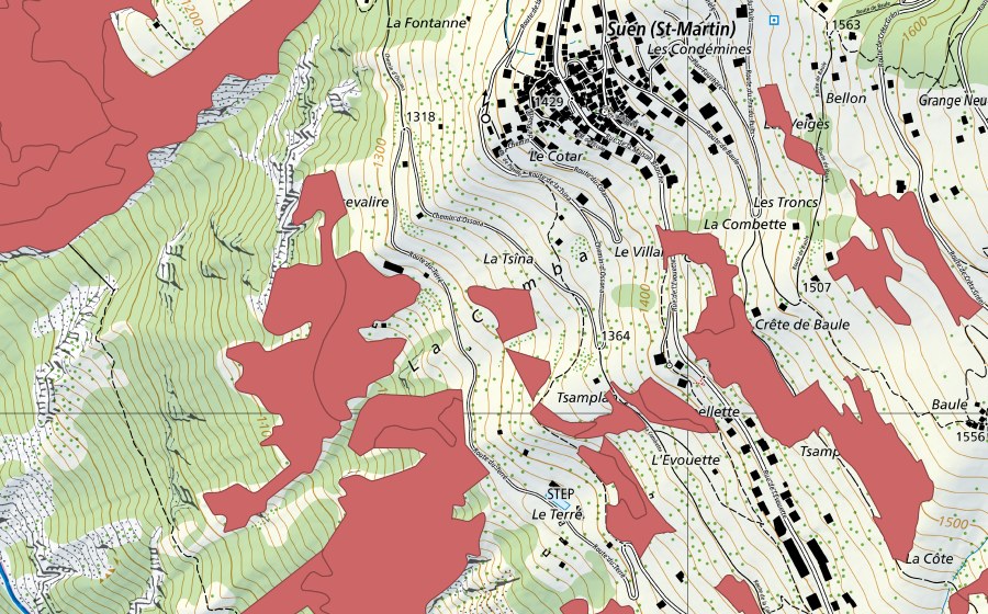 Landeskarte swisstopo mit dem Schutzperimeter von Suen-Trogne (Trockenwiese)