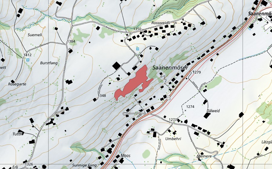 Carte nationale swisstopo avec le périmètre protégé de Sumeli (Prairie sèche)