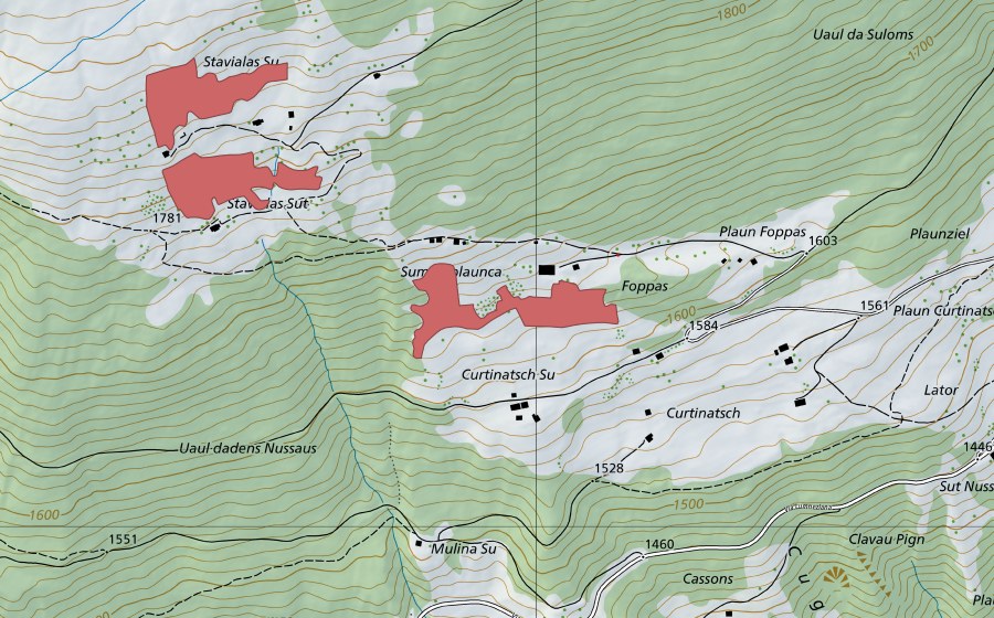 Carte nationale swisstopo avec le périmètre protégé de Summaplaunca (Prairie sèche)