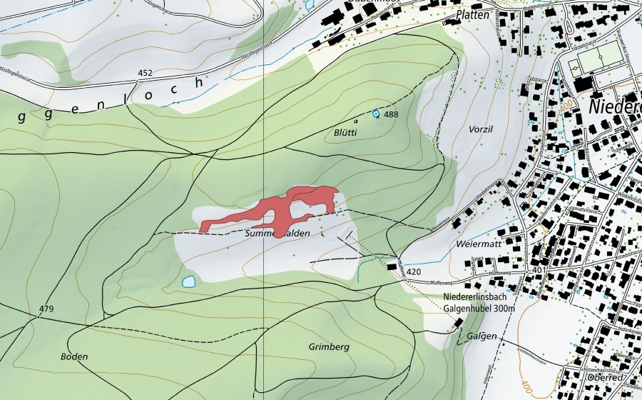 Carte nationale swisstopo avec le périmètre protégé de Summerhalde (Prairie sèche)