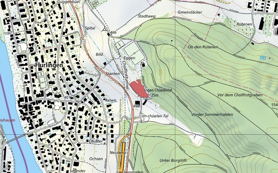 swisstopo national map showing the protected perimeter of Summerhalden (Dry meadow)