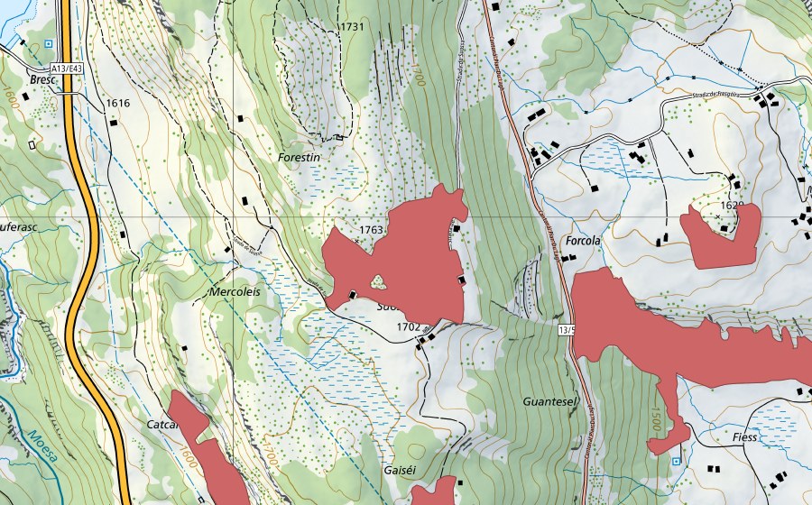 Landeskarte swisstopo mit dem Schutzperimeter von Suossa (Trockenwiese)