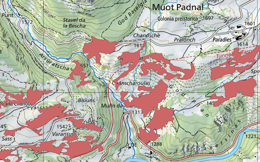 swisstopo national map showing the protected perimeter of Suot Duas (Dry meadow)