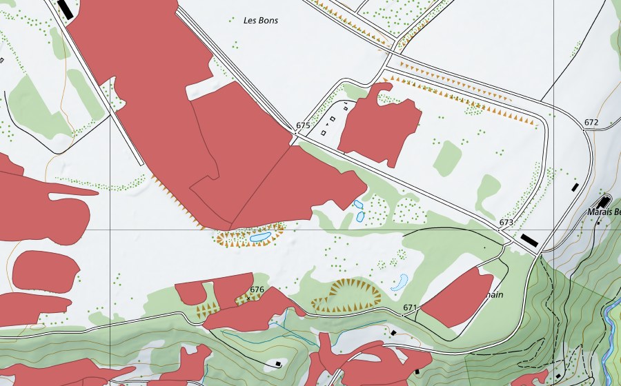 swisstopo national map showing the protected perimeter of Sur Champagne (Dry meadow)