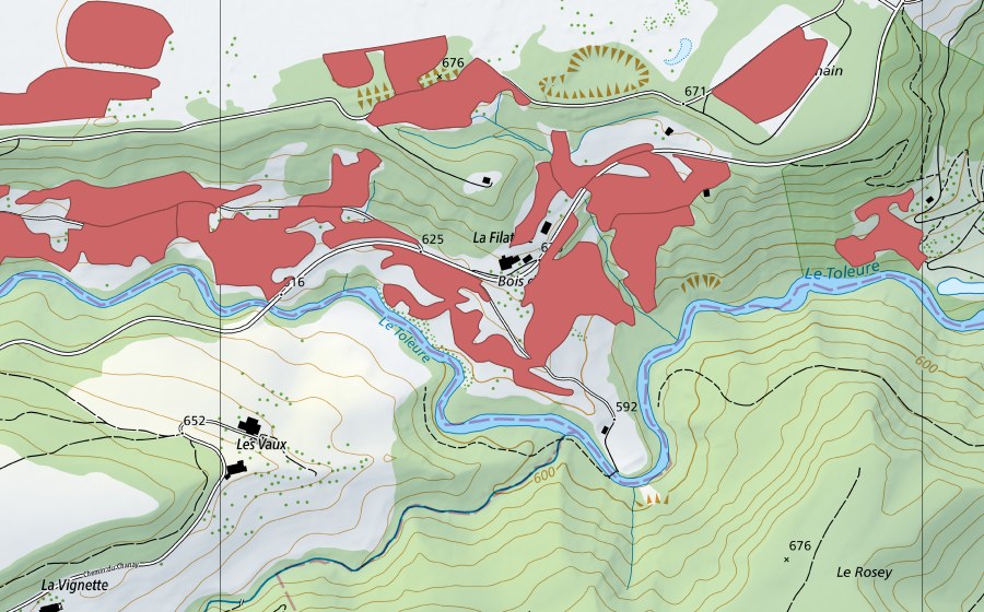swisstopo national map showing the protected perimeter of Sur Champagne (Dry meadow)
