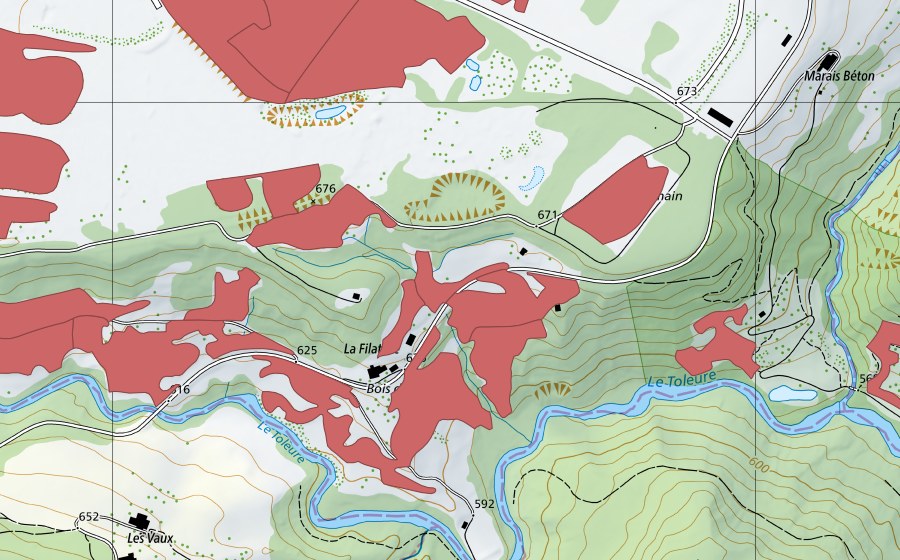 swisstopo national map showing the protected perimeter of Sur Champagne (Dry meadow)