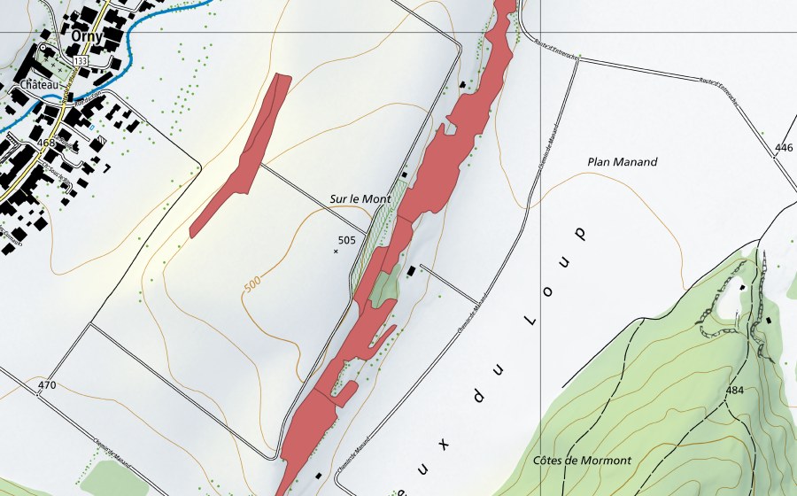 Carte nationale swisstopo avec le périmètre protégé de Sur le Mont (Prairie sèche)